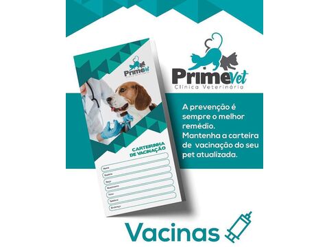 Primevet Clinica Veterinaria Ltda - 24