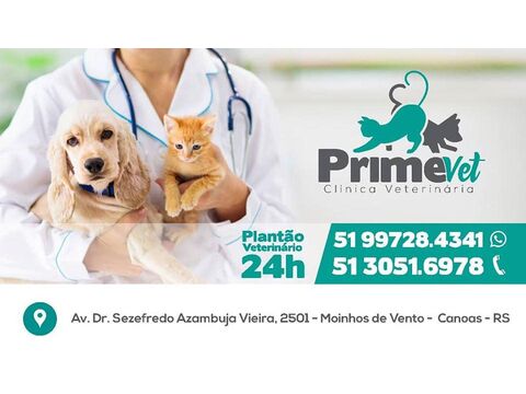 Primevet Clinica Veterinaria Ltda - 26